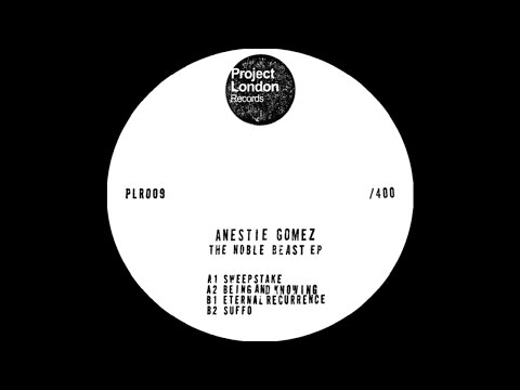 Anestie Gomez - Being And Knowing