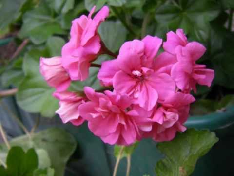 ​#Contemporary_Music Albena Kechlibareva sings Dimitar Christoff (In Memoriam) Song VII... Slavejkov