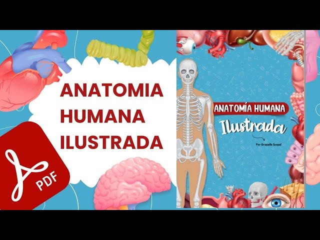 Vídeo relacionado con EVA. Anatomía. ATLAS: La nueva era de la Anatomía
