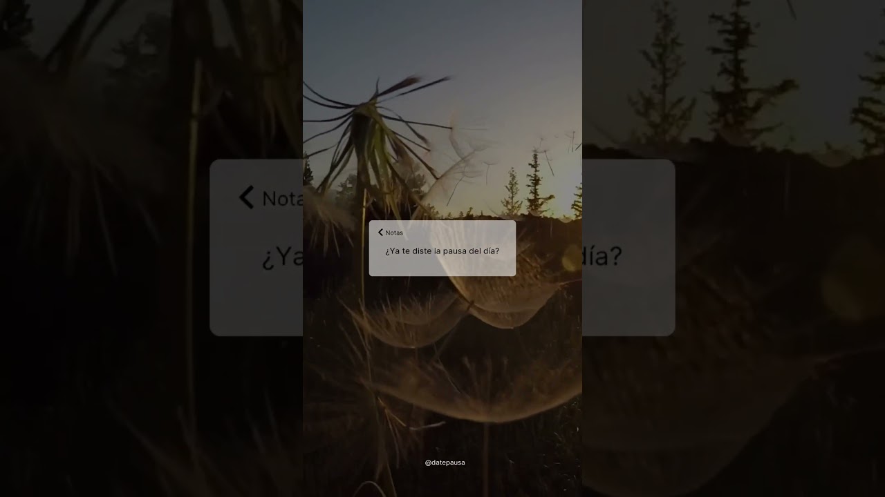 Guided deep breathing