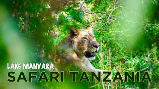 SAFARI in TANZANIA: Lake Manyara, BOOMKLIMMENDE LEEUWEN en Olifantenparadijs!