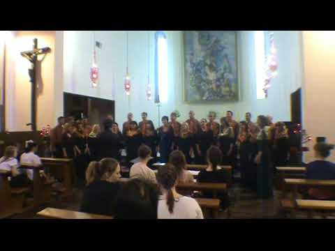  Mixed Choir  A Cappella Petrovce    Vytatas Miskinis   Multi dicunt