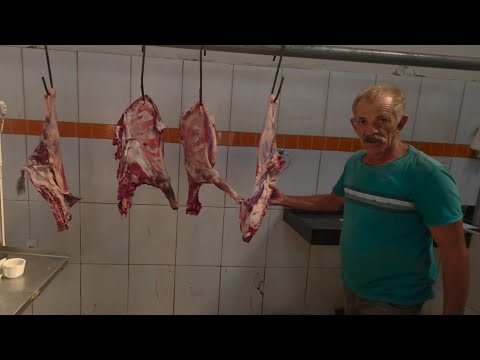 BODE R$32 REAIS NA FEIRA DE BARRA DE SÃO MIGUEL-PB 07/03/2026 