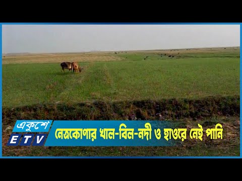 দীর্ঘ খরায় নেত্রকোণার খাল-বিল-নদী ও হাওরে নেই পানি