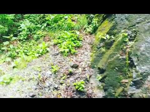 A walk in the nature - the road to The Lotrisor Waterfall