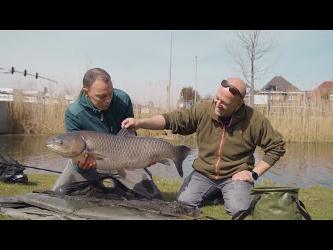 VISblad TV - penvissen op Vinex-karpers!