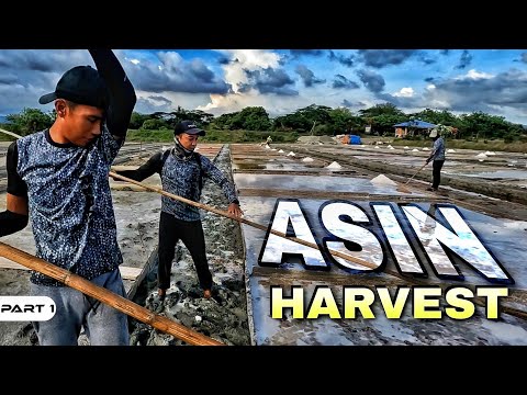 EP984-P1 - Pagkayod ng Asin