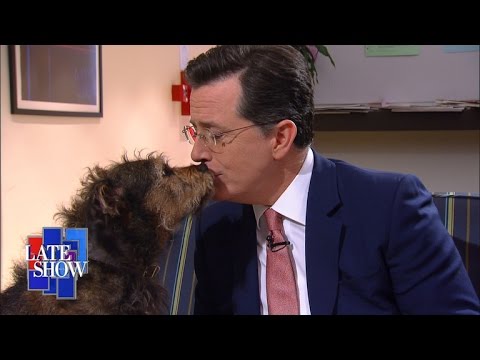 Stephen Colbert Kisses A Dog