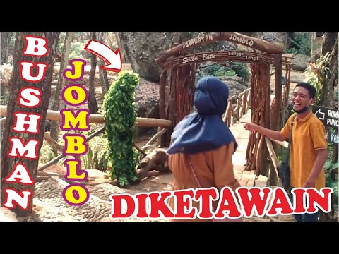 seribu-batu-songgo-langit-bantul-yogyakarta-bushman-prank-prank-manusia-pohon