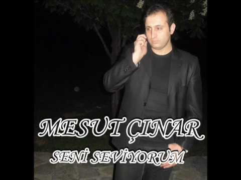 Mesut Çınar Seni Seviyorum