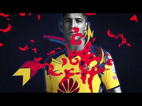 MAUS HAUS. REEL. 2019