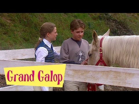 Grand Galop 206 - De l'amour dans l'air | HD | Épisode Complet