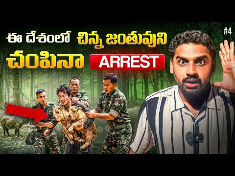 Beautiful Thimpu City Tour | Takin Animal | Bhutan 🇧🇹 | Uma Telugu Traveller