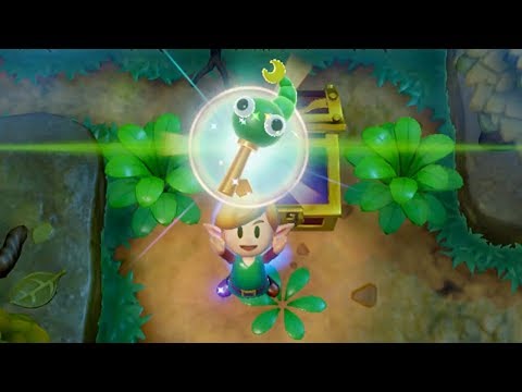 How to get the Tail Key - Links Awakening