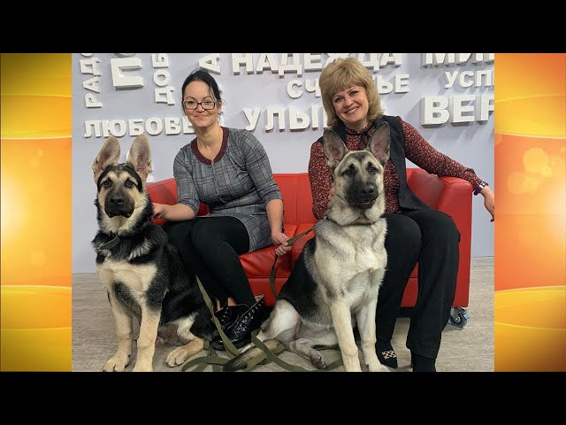 Живая среда