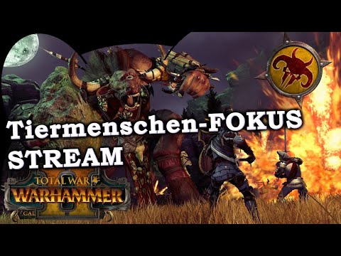 TIERMENSCHEN-FOKUS-Stream! - Total War: Warhammer 2