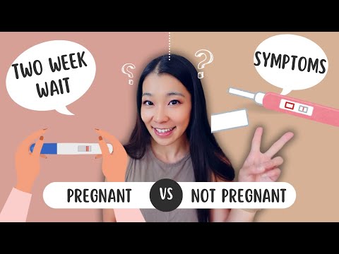 TWO WEEK WAIT symptoms pregnant vs not pregnant| TWW lead to BFP vs BFN