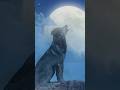 Wolf Sounds Wolves Howling At Moon