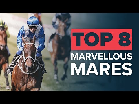 TOP 8 AUSTRALASIAN RACEMARES: WINX, BLACK CAVIAR, MAKYBE DIVA & SUNLINE