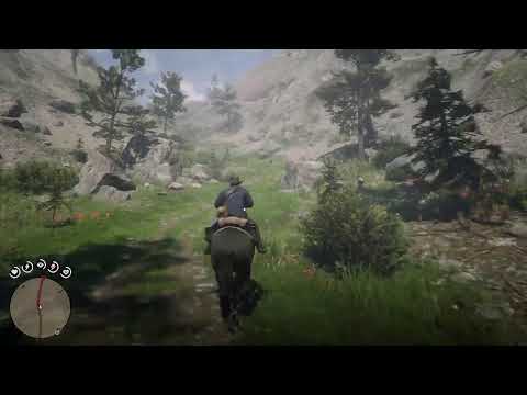 Red Dead Redemption II: Pt31