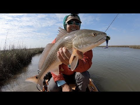 Lots of mud chickens, Kayak fishing Freeport TX