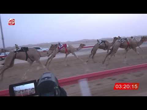  ش 2 (مطلوب) لـ سعيد عيسى محمد بن هاشل المنصوري 6:47:06 ، مهرجان العين 2026/08/09 حول وزمول الوقن