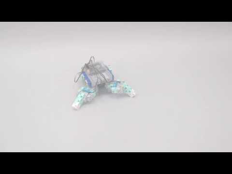 KIT CONSTRUCTION PROGRAMMATION ROBOTS AVANCÉS ECOLE ROBOTS SPEECHI_6