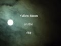 Pearl Jam - Yellow Moon (with lyrics)