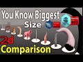 Size Comparison In 2023 Exploring Animal Size Diversity