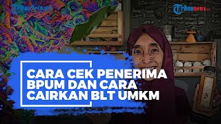 Begini Cek Penerima BPUM via eform.bri.co.id/bpum, Beserta Cara Cairkan BLT UMKM Rp2,4 Juta