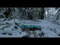 Cranes - Here Comes The Snow (Lyrics /subtitulos en Español) 