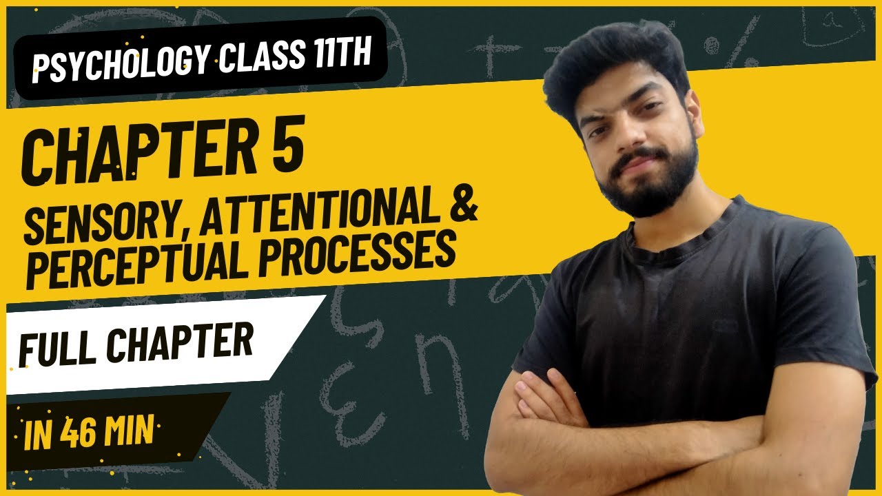 ONE SHOT | Chapter 5 Sensory, Attentional & Perceptual Processes | Psychology Class 11 Psych Shots