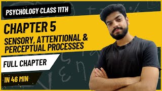 ONE SHOT | Chapter 5 Sensory, Attentional & Perceptual Processes | Psychology Class 11 Psych Shots