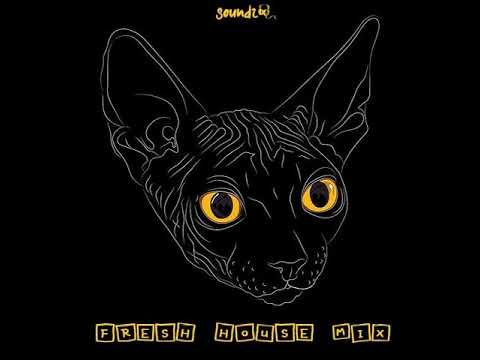 Fresh House Mix vol. 6 - incl. tracks from Jacq (UK), Brokenears, Demuir, Cavi and more...