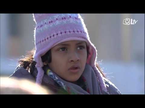 Angelus 24.1.2016. - Papa: Naviještati evanđelje životom, glavna je svrha kršćanske zajednice