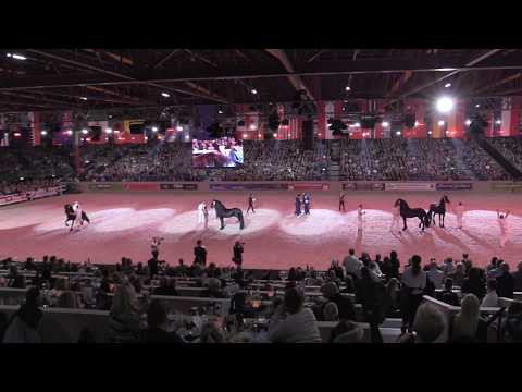 Algemeen kampioenschap