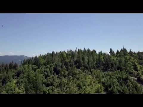 Stanceni august 2018