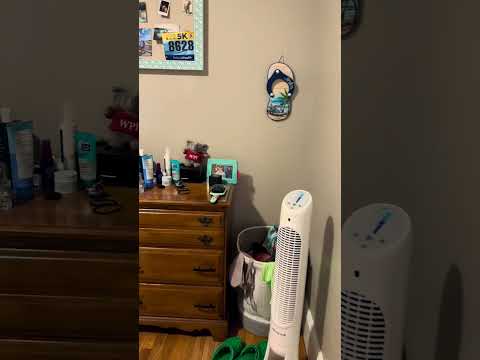 155 Properties, LLC - Video 2 of 2