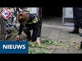 Minder hennepkwekerijen opgerold door minder tips - OMROEP WEST
