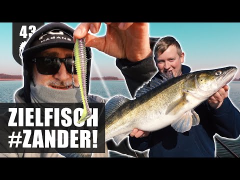 The ZANDER EXPRESS: Targeting the FAT!