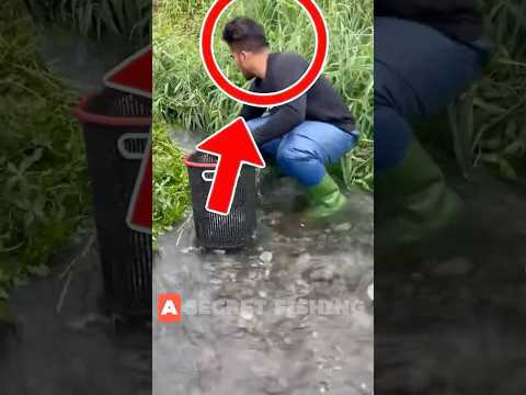 200 IQ Fishing Hack: Catching Dozens of Fish With Bare Hands! #shorts
