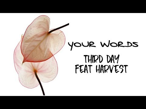 download lagu mp3 mp4 Milagres Do Paraíso Your Words, download lagu Milagres Do Paraíso Your Words gratis, unduh video klip Milagres Do Paraíso Your Words