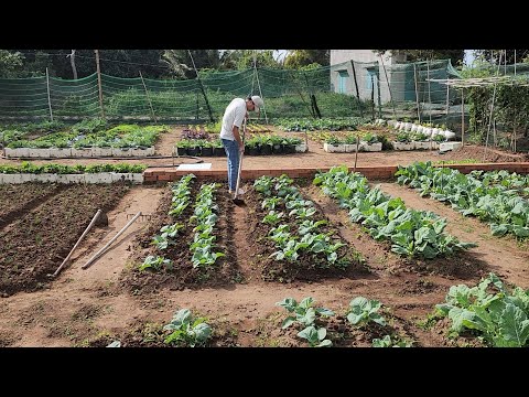 Full 120 days : How to create a garden and grow vegetables