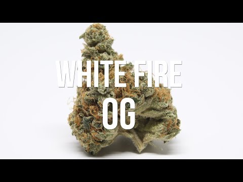 download lagu mp3 mp4 Whitefire, download lagu Whitefire gratis, unduh video klip Whitefire