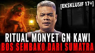 Download lagu KAYA TAPI ANAKNYA BERBULU ?! BOS TOKO SEMBAKO SUMATRA PELAKU PESUGIHAN MONYET DI GUNUNG KAWI mp3