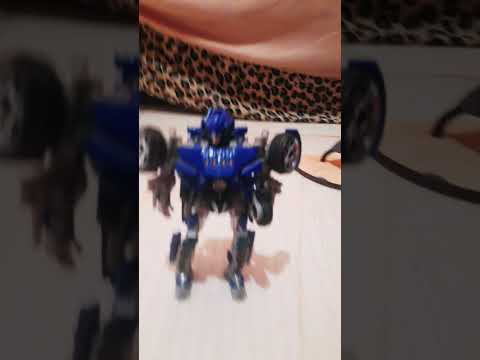 Pau D'arco do Piauí🤖🚙