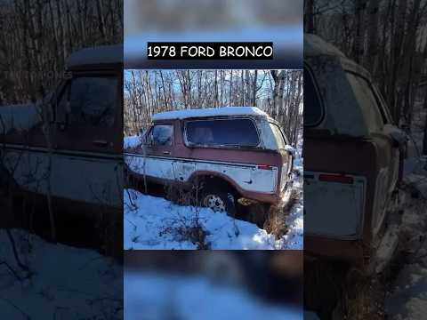 Thumbnail for CHECK THIS EPIC FORD BRONCO TRANSFORMATION ‼️#trending #automobile #car #ford #fordtruck #bronco by Automobile, Car, Ford Bronco