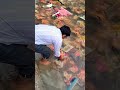 Ganpati Bappa Morya 2023 Visarjan