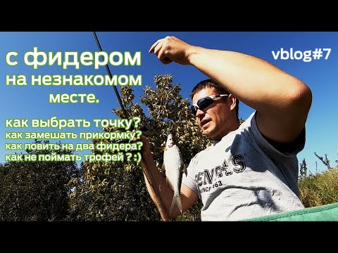 Фото С фидером на незнакомом месте.  Vblog#7