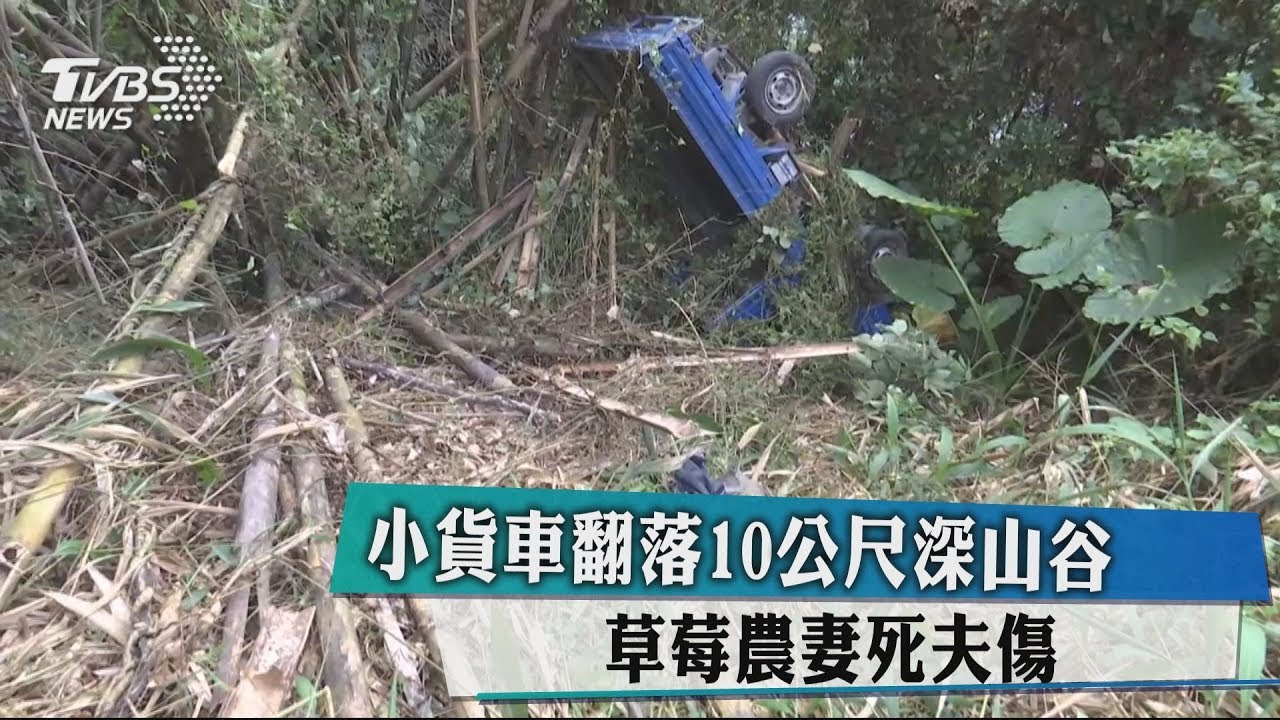 小貨車翻落10公尺深山谷 草莓農妻死夫傷